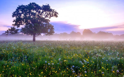 RELAX, REFRESH, REVIVE WORKSHOP