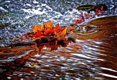 YIN/RESTORATIVE YOGA FROM INSIDE OUT WITH LINDA